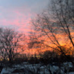 Meet your Posher, Amal